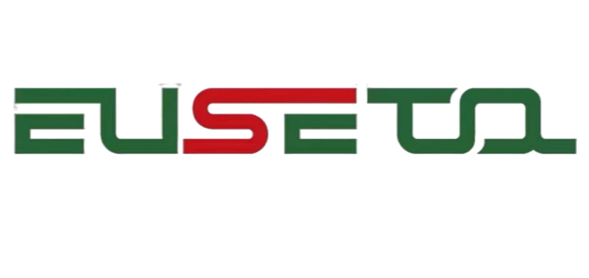 EUSETOOL logo